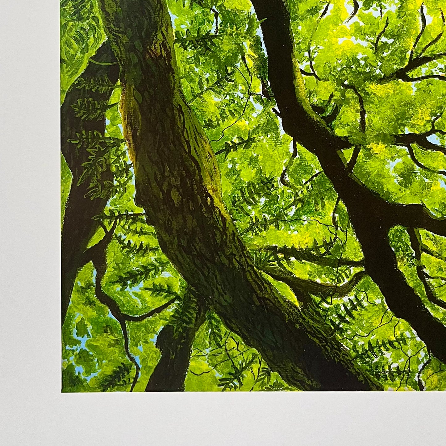 Treetops (PRINT)