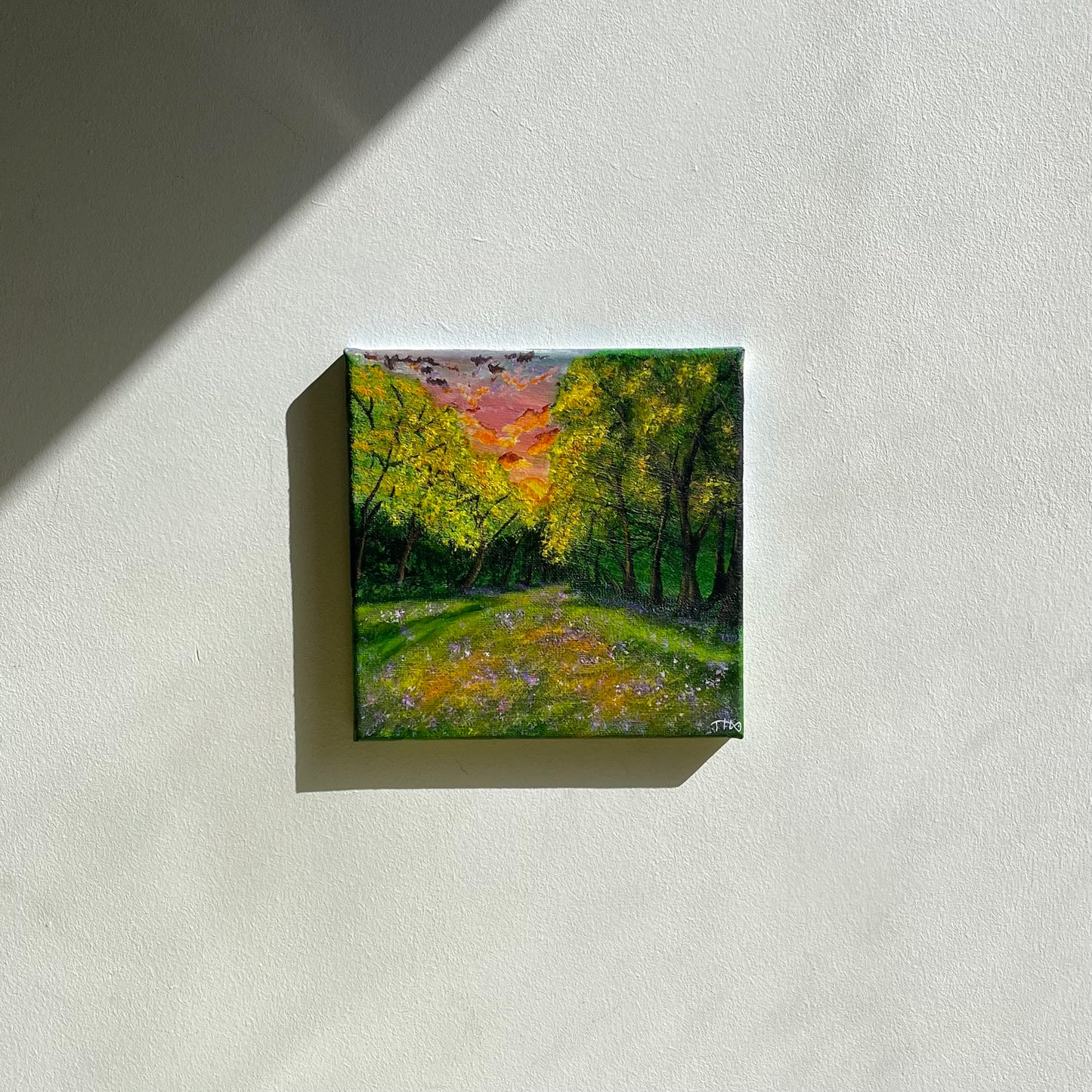 Fiery Woodland Sunset